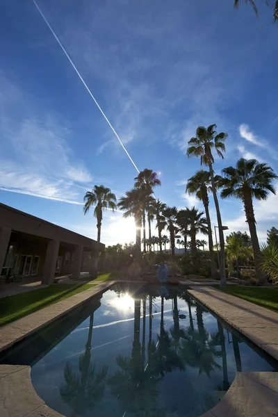 stock image House with palm trees and bright blue sky