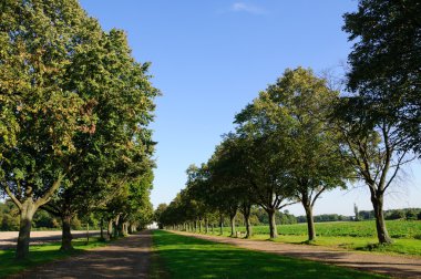 Avenue doğru Falkenlust - Brühl, Almanya