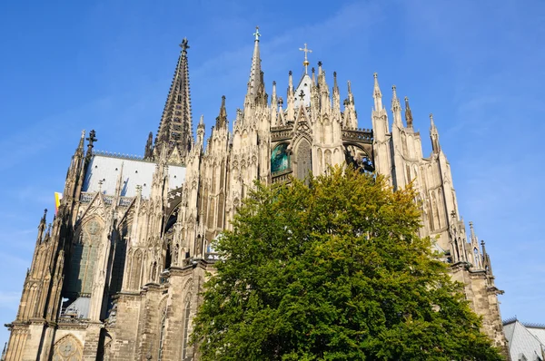 Catedrala - Köln, Germania — Fotografie, imagine de stoc