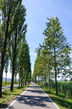 Reichenau Adası, Almanya