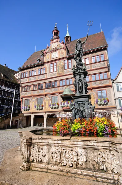 Tübingen, Germany — 图库照片