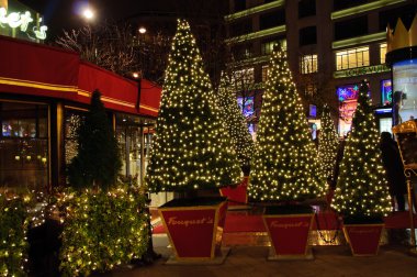 Christmas trees in Paris, Taken in winter 2009 clipart