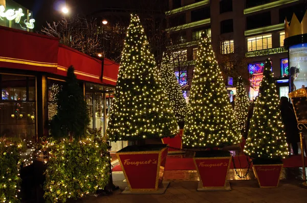パリでは 2009 年の冬で撮影されたクリスマス ツリー — ストック写真
