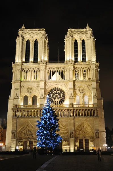 圣诞树在巴黎与巴黎圣母院大教堂 — 图库照片