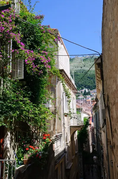 Dubrovnik, Hırvatistan