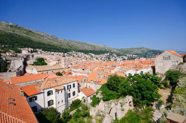Dubrovnik, Hırvatistan — Stok fotoğraf