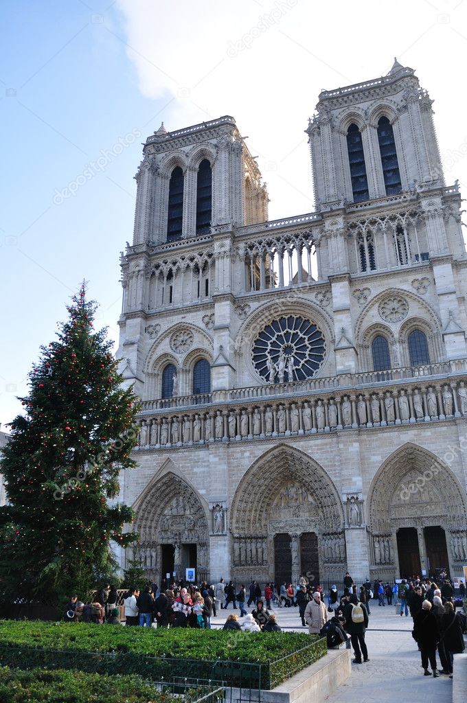 Notre Dame Cathedral with Christmas tree in Paris