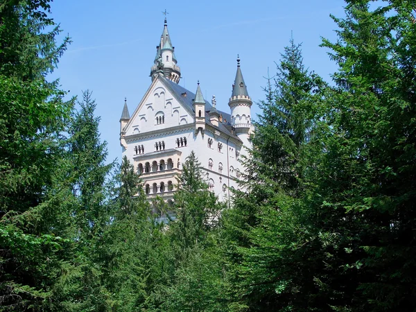 Zamek neuschwanstein — Zdjęcie stockowe