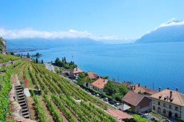 Lavaux Vineyard Terraces clipart