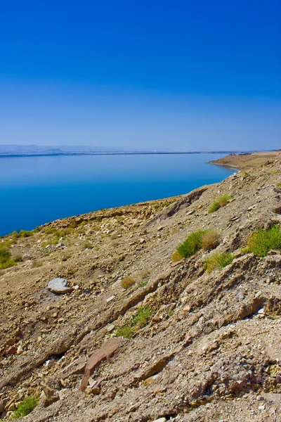 Brzeg Morza Martwego — Zdjęcie stockowe
