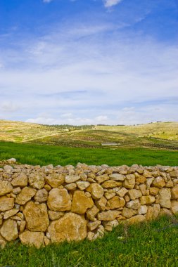 Grazing land stone wall clipart