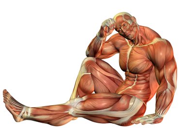 Muscle Body builders in a seated pose clipart