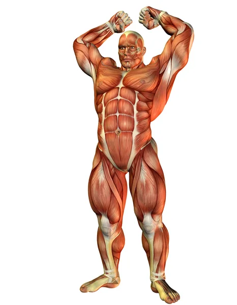 Sportler mit Muskelkraft-Pose — Stockfoto