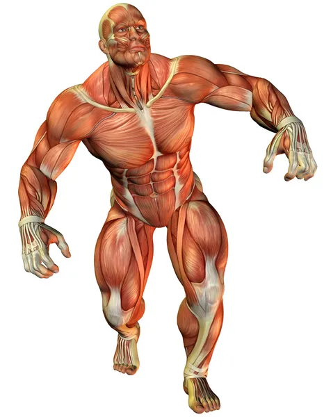 Мышцы заставляют спортсмена — стоковое фото