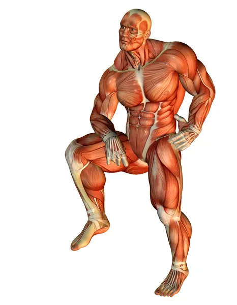 Construtor de corpo muscular de pé em uma perna — Fotografia de Stock