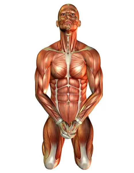 Badanie mięśni człowieka na jego kolanach — Zdjęcie stockowe