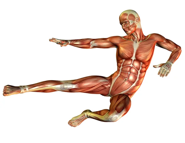研究有肌肉的男人实现飞跃 — 图库照片