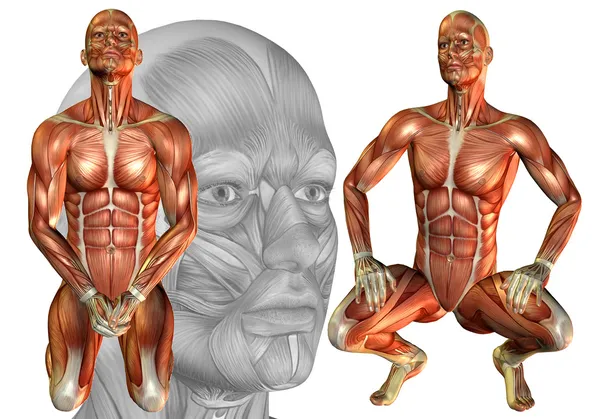 Uomo muscolare accovacciato — Foto Stock