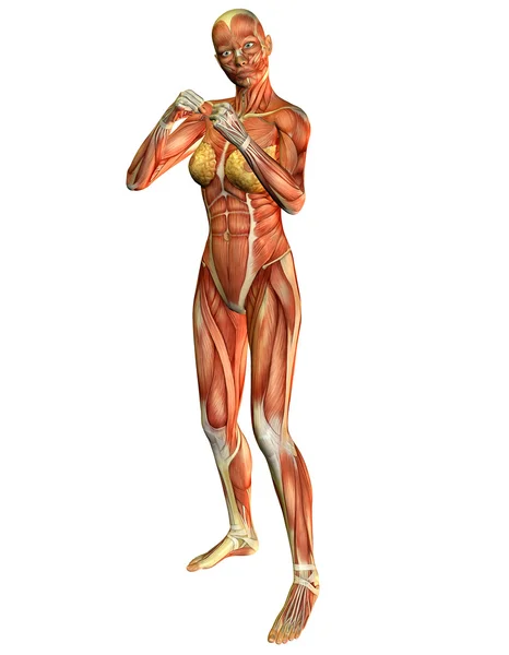 Mulher muscular em posição de batalha — Fotografia de Stock
