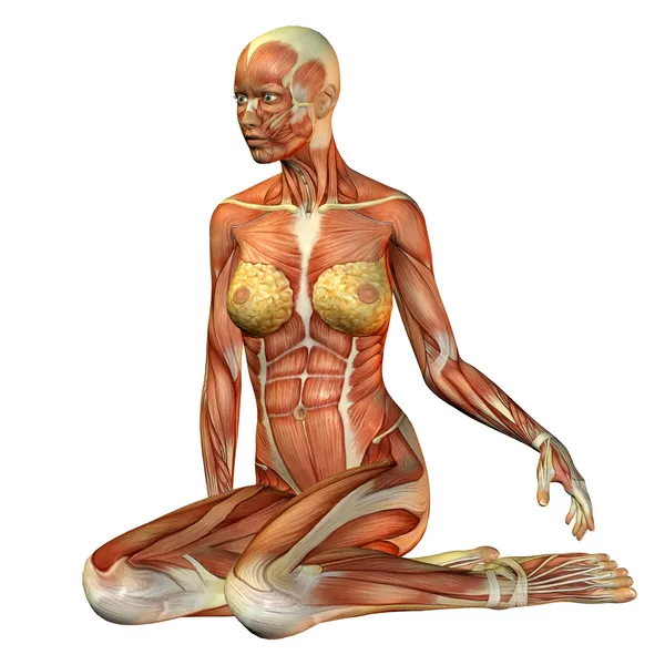 Estudo mulher muscular sentado — Fotografia de Stock