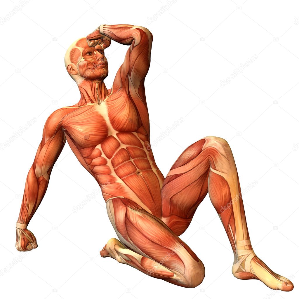 Muscle man in a sitting posture