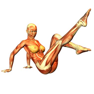 Woman in gymnastic pose clipart