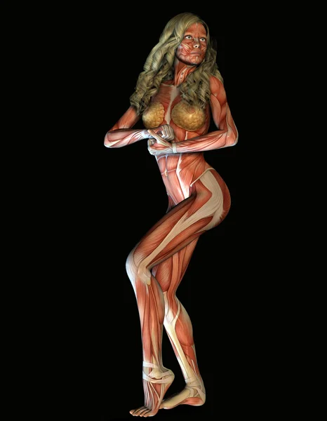 Muskelaufbau einer Frau in Kraftpose — Stockfoto
