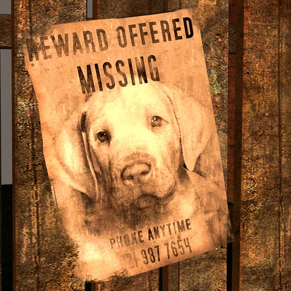 Miss-indicate for a missed dog - MISSING Dog — Stock Photo, Image