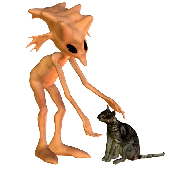 GNOME ile kedi — Stok fotoğraf