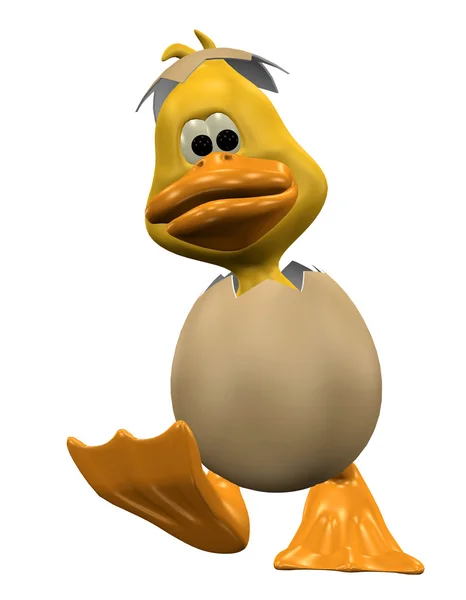 Duck egg — Stock Photo, Image