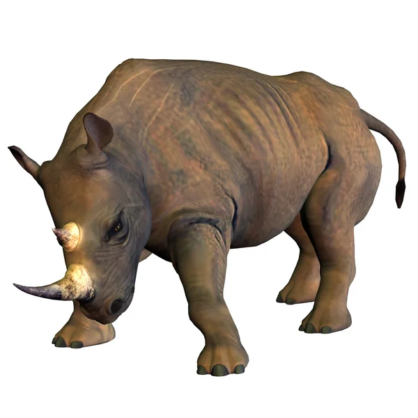 Nosorożec — Zdjęcie stockowe