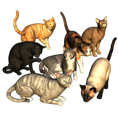 Many Cats clipart