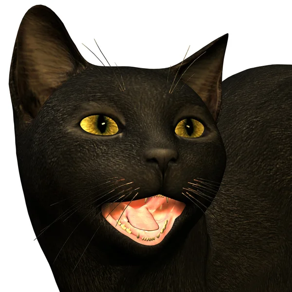 Czarny kot mewing — Zdjęcie stockowe