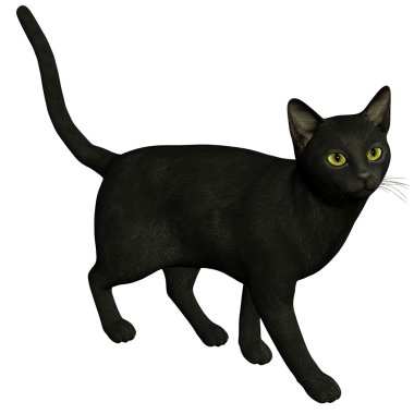 A black cat clipart