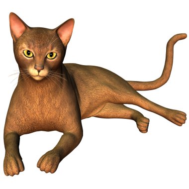 3D render bir cins kedi örnek olarak