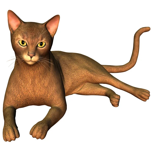 Rendering Ras Katt Som Illustration — Stockfoto