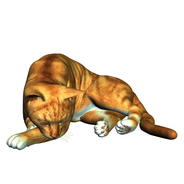 Rendering Sleeping Red Tabby Cat Illustration — Stock Photo, Image