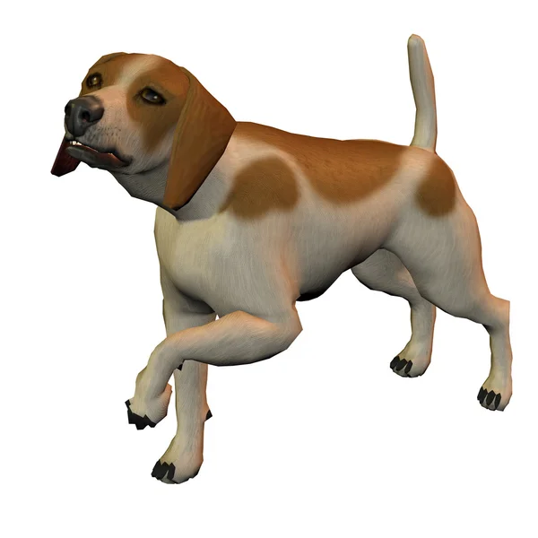 Rendering Een Beagle Hond Welke Geeft Paw Als Illustratie — Stockfoto