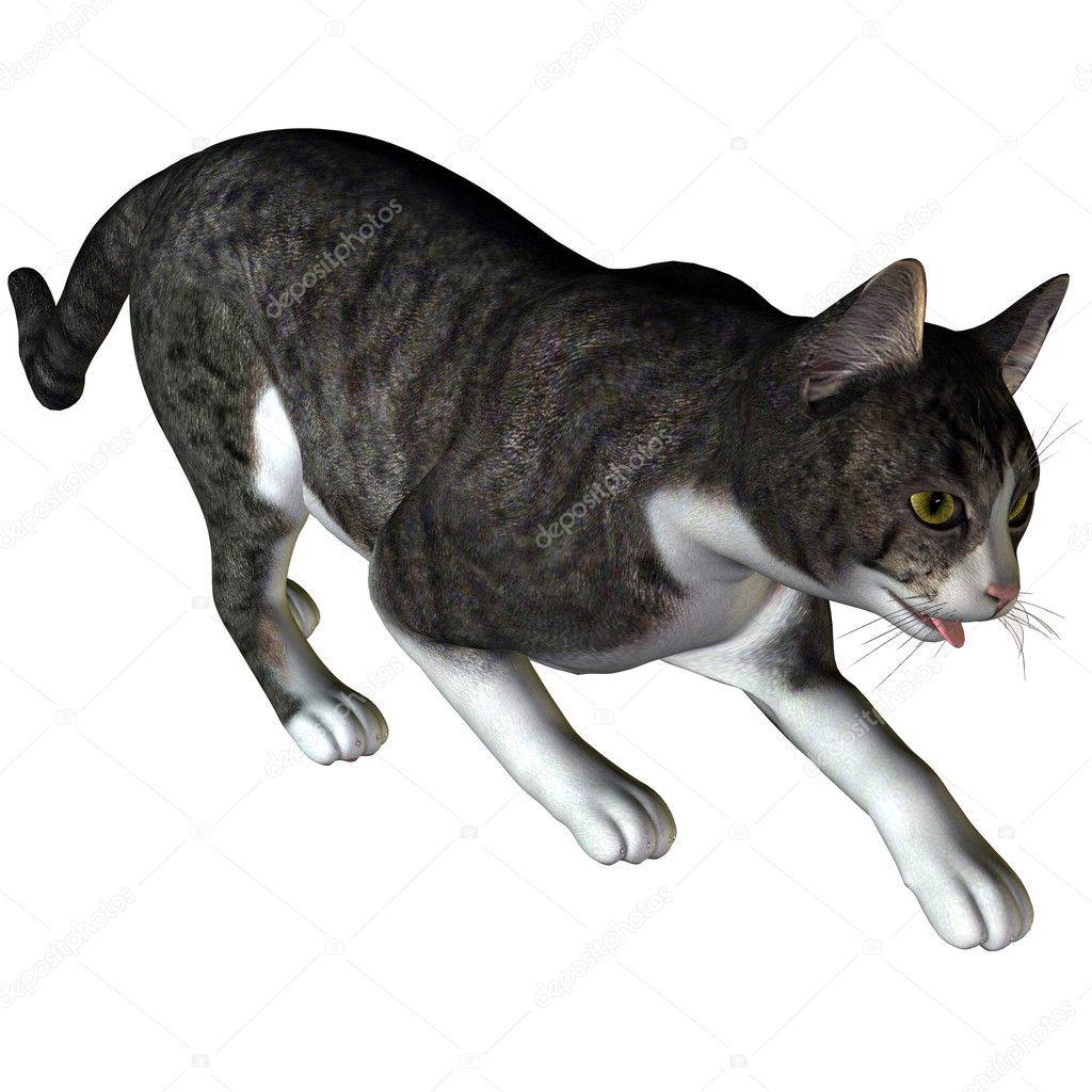3d rendering a creeping cat as illustration