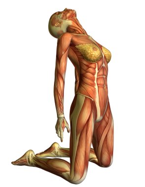 Muscle woman on her knees head back clipart