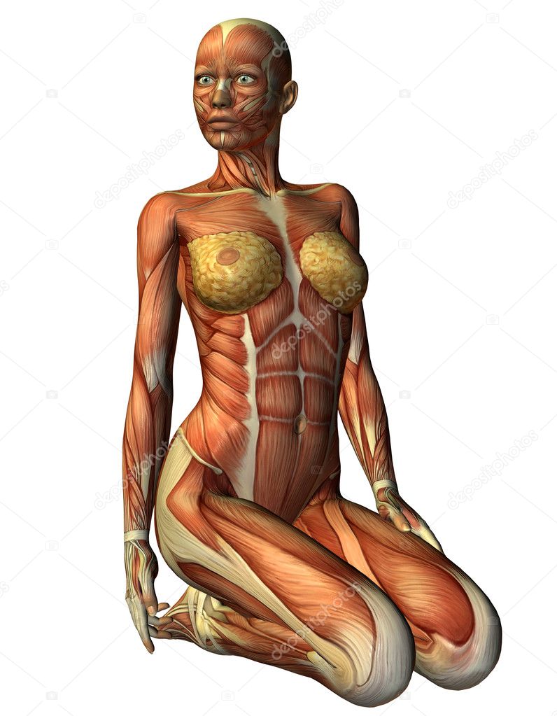 3D rendering Muskelln woman on her knees from the front