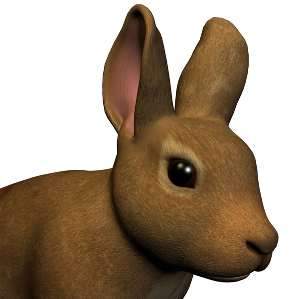 一只兔子的肖像 — 图库照片