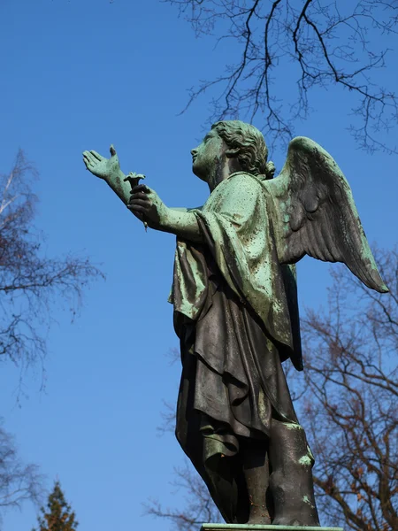 Angel to heaven — Stock Photo, Image