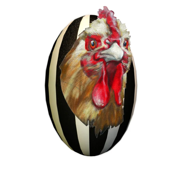 Портрет курицы с пасхальным яйцом — стоковое фото