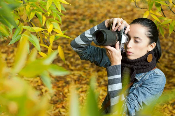 Piękne dziewczyny fotograf przyrody (w liści) Zdjęcia Stockowe bez tantiem