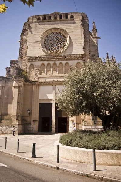 Cathedral in Manacor — Stock Photo, Image