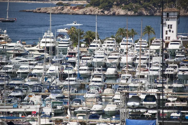 Yachts Marina Sunny Day — Stock Photo, Image