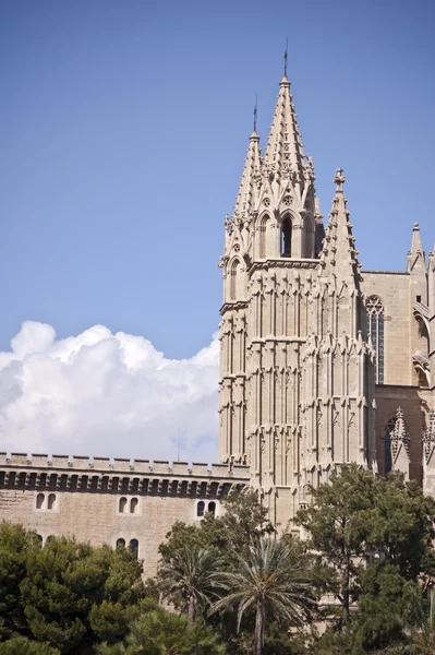 Gotische Kathedrale Palma Mallorca Balearen Spanien — Stockfoto