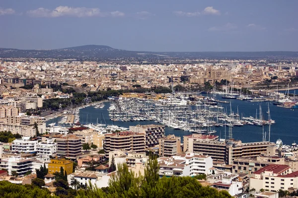 Panorama Van Palma Mallorca — Stockfoto