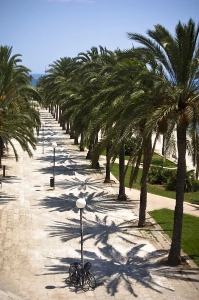 Promenade in Mallorca — Stockfoto